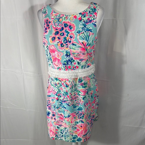 Lilly Pulitzer Arden Etuikleid Mini Serene Blau Gypsea Fransen Size M - Picture 3 of 10